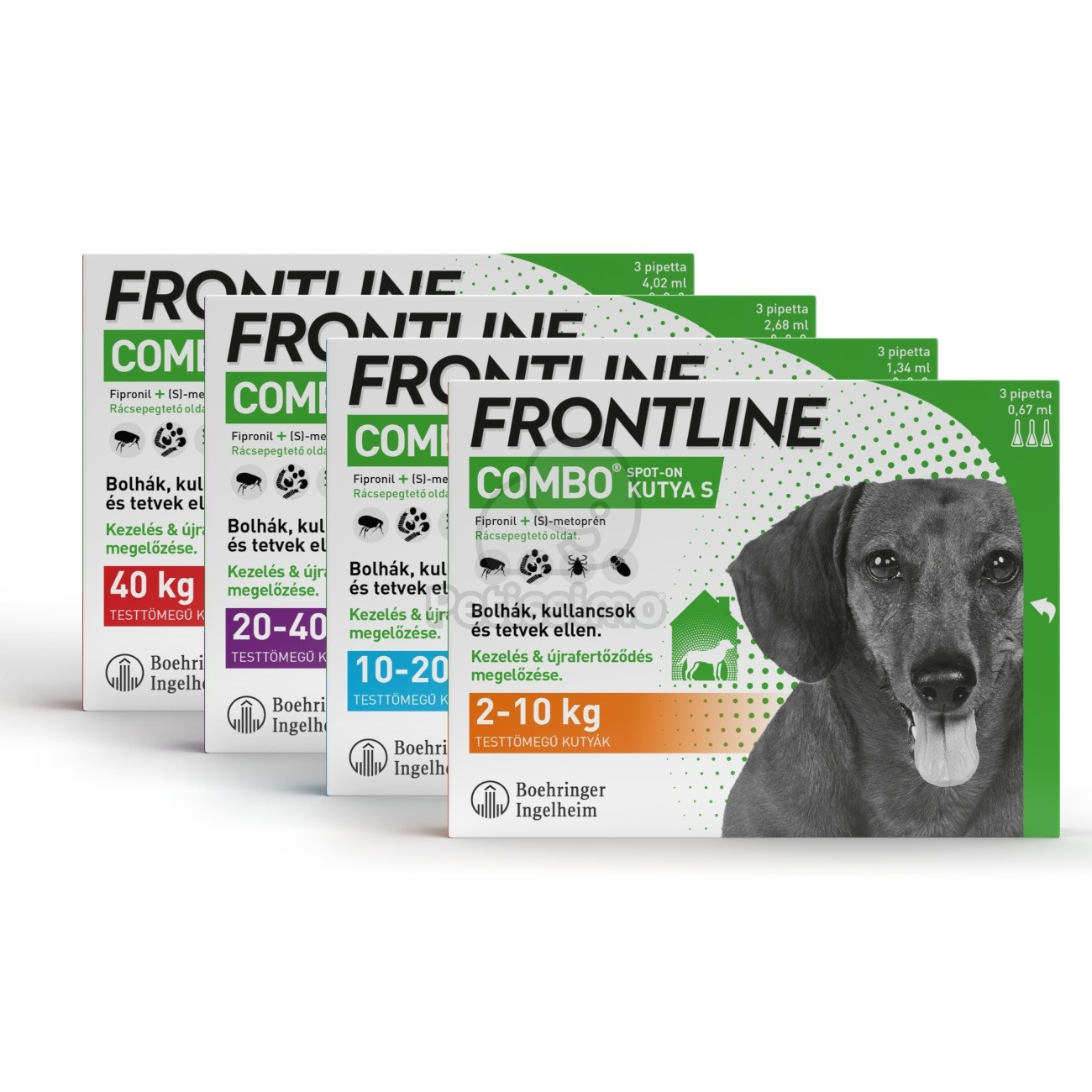 Frontline Combo rácsepegtető oldat kutyáknak