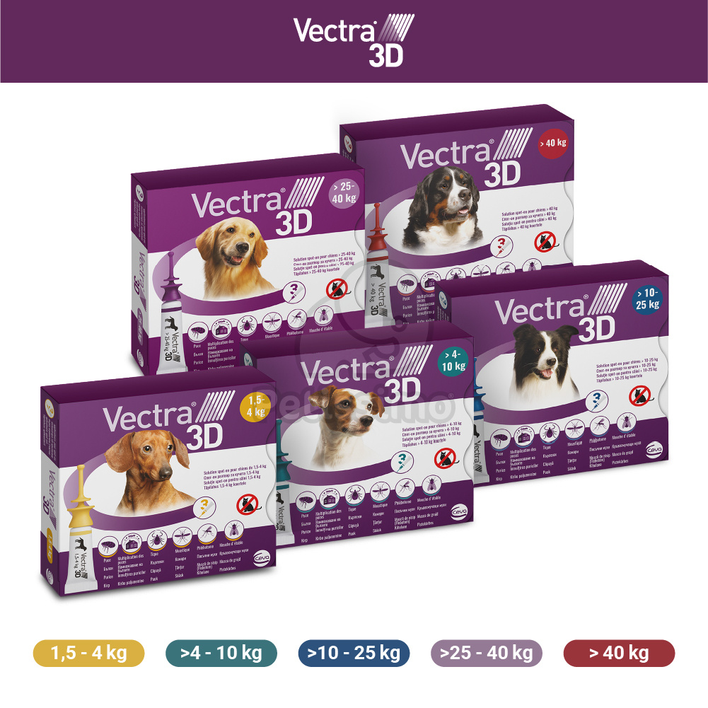 Vectra 3D rácsepegtető oldat kutyáknak
