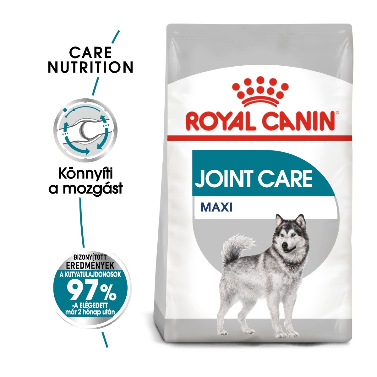 Royal Canin Maxi Joint Care - karma sucha dla dorosłych psów ras dużych z wrażliwymi stawami 10 kg