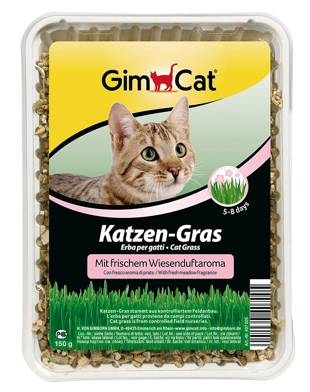 GimCat mačacia mäta v krabici 150 g