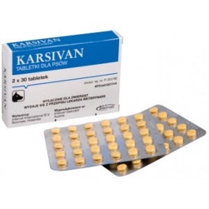 Karsivan tabletta idősödő kutyáknak 60 db (50mg)