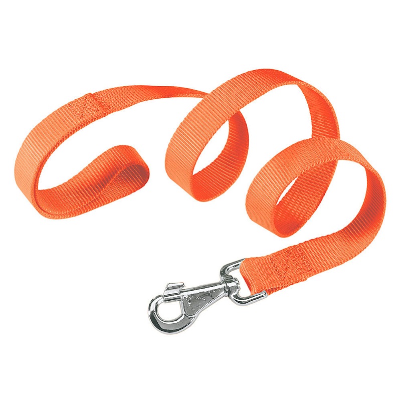 Ferplast Club G Leine - orange 10 mm x 120 cm (77178939)