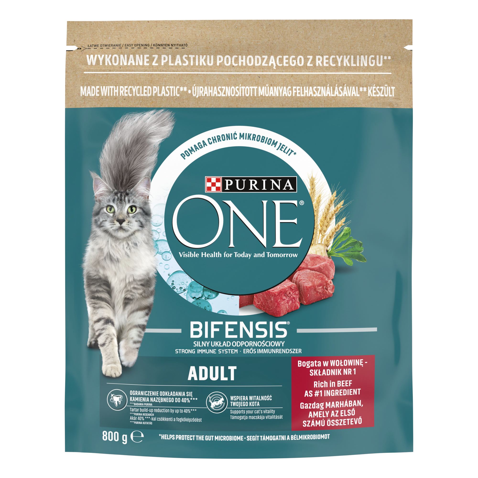 Purina ONE Bifensis Adult Beef 0,8 kg