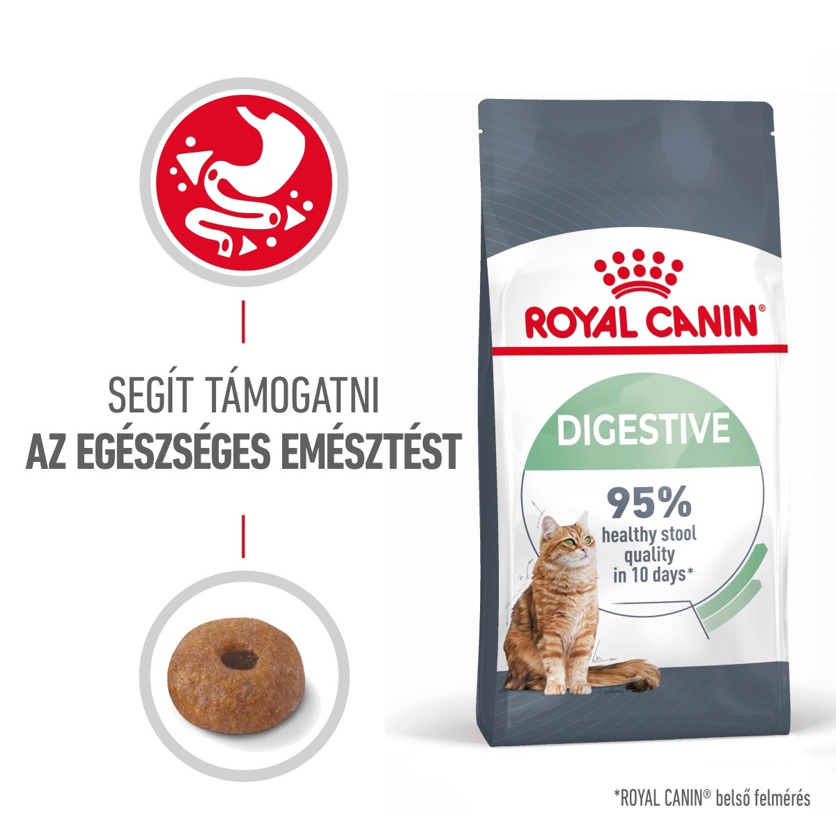 Hrană pentru pisici Royal Canin Digestive Care 10 kg