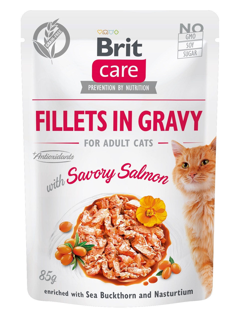 Brit Care Cat Fillets in Gravy - Salmon 6 x 85 g