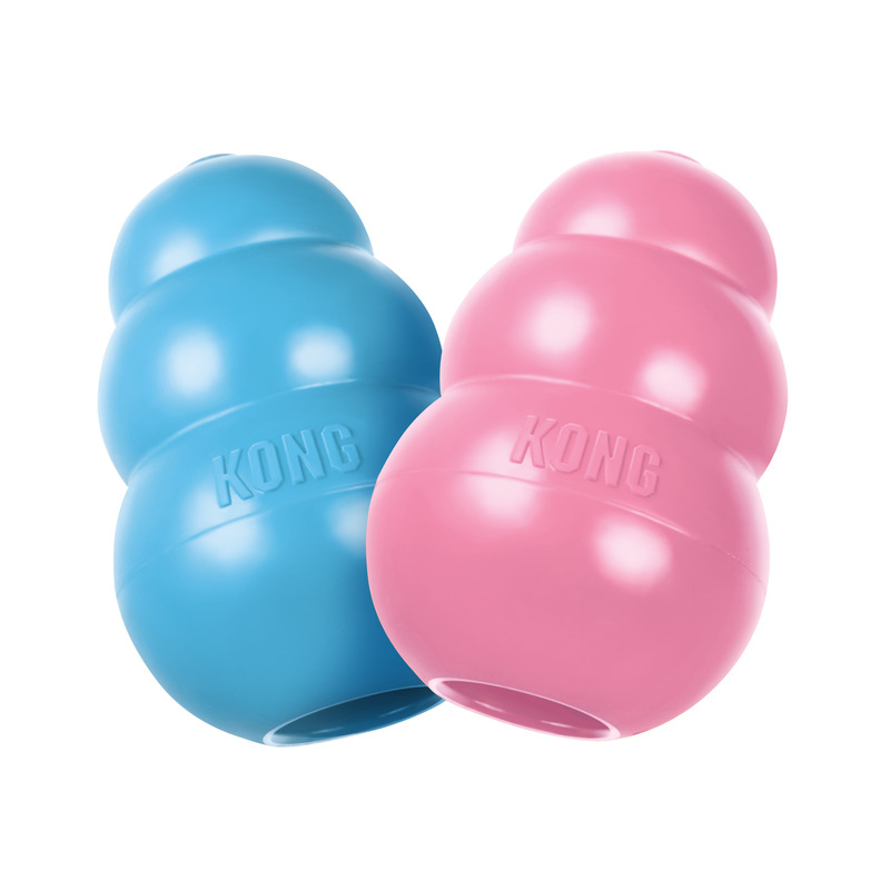 KONG Puppy L (KP1)