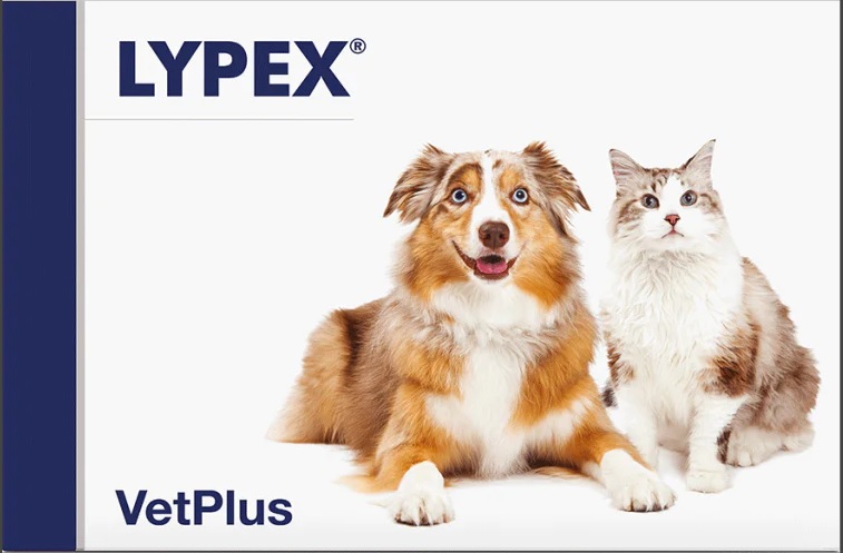 Lypex kapsule 60 kosov
