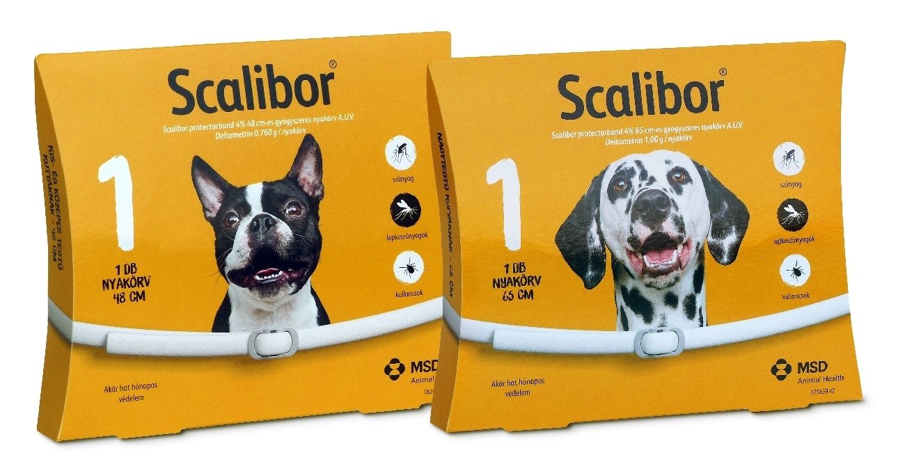 Scalibor Zgardă antiparazitară pentru câini 65 cm