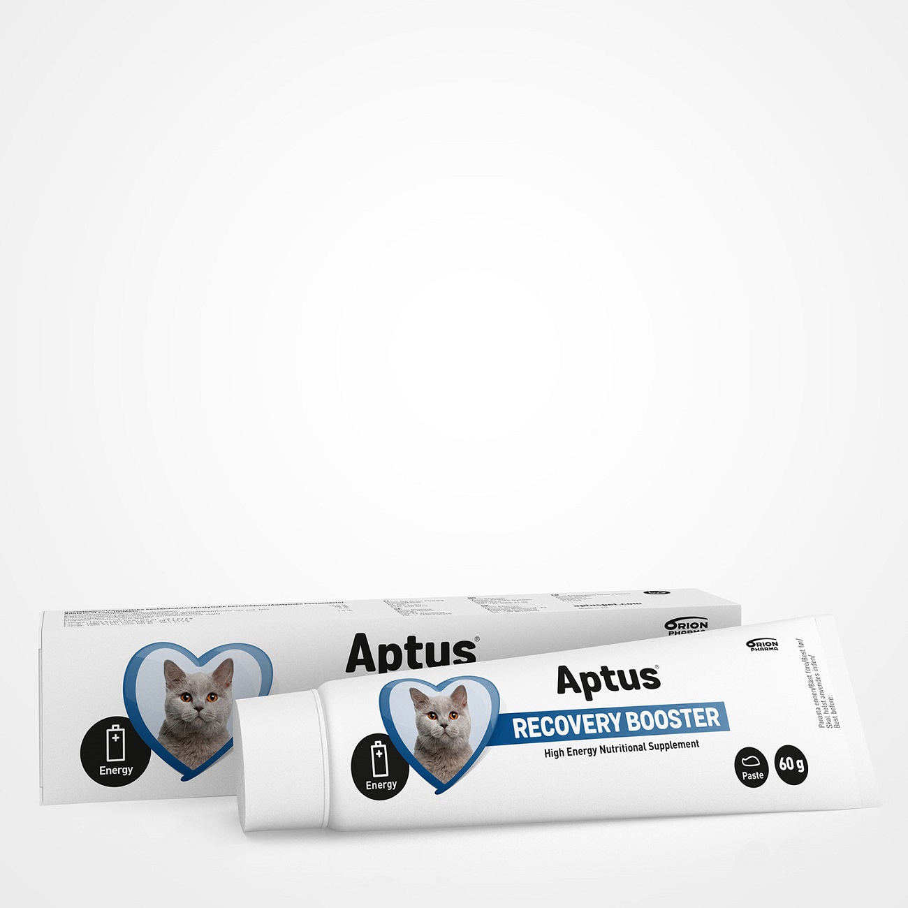 Aptus Recobooster pasta pre mačky 60 g