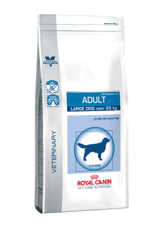 Royal Canin Adult Large Dog 13 kg