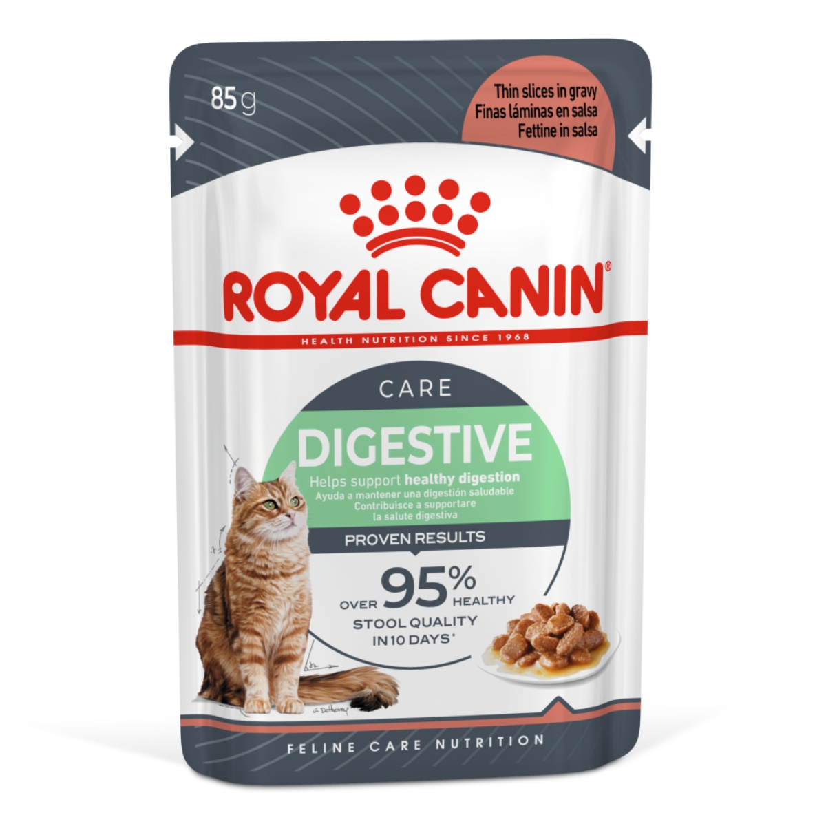 Royal Canin Digestive Care - hrană umedă pisici 12 x 85 g