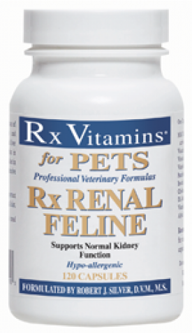 Rx Vitamins Renal Feline tablety 120 ks