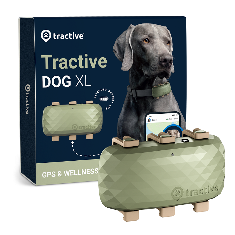 Tractive Dog XL - GPS tracker pre psov Zelený