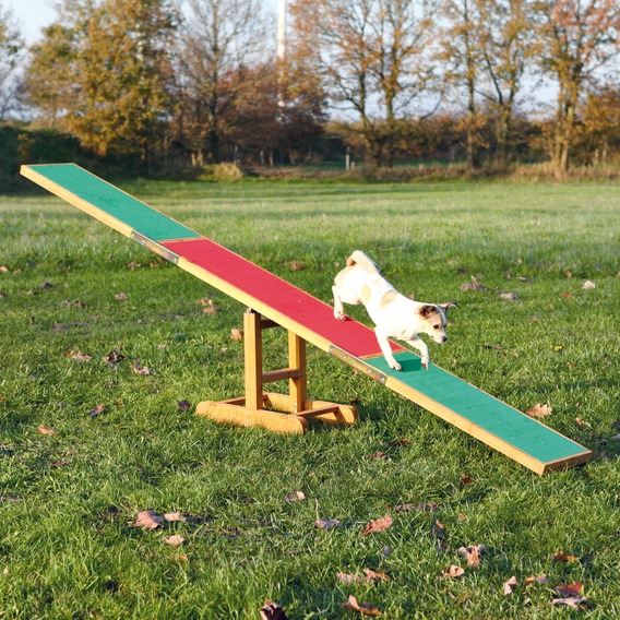 Trixie Agility - Houpačka 300 × 54 × 34 cm