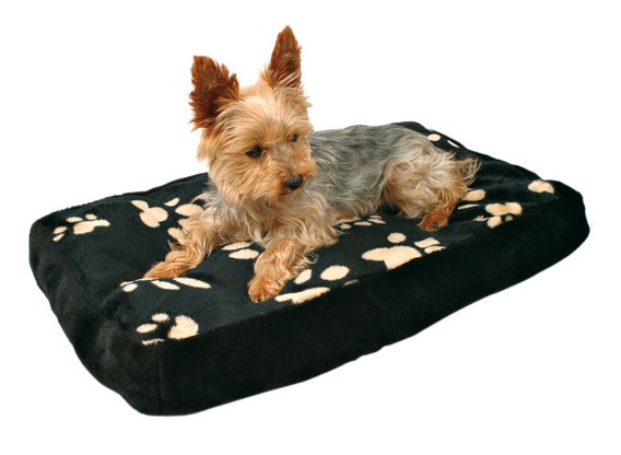 Trixie Winny culcuș 80 x 55 cm (TRX37573)